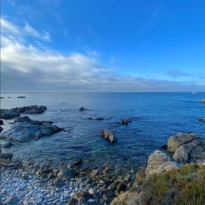 Meet your Posher, Wendy